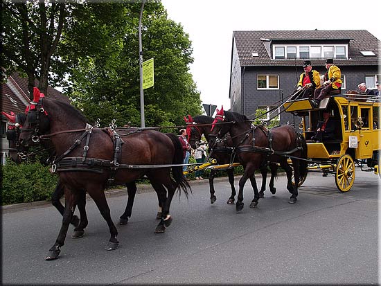 Umzug 0212.jpg